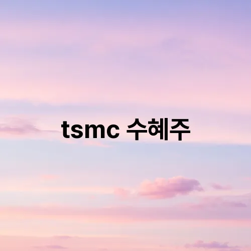 tsmc 수혜주