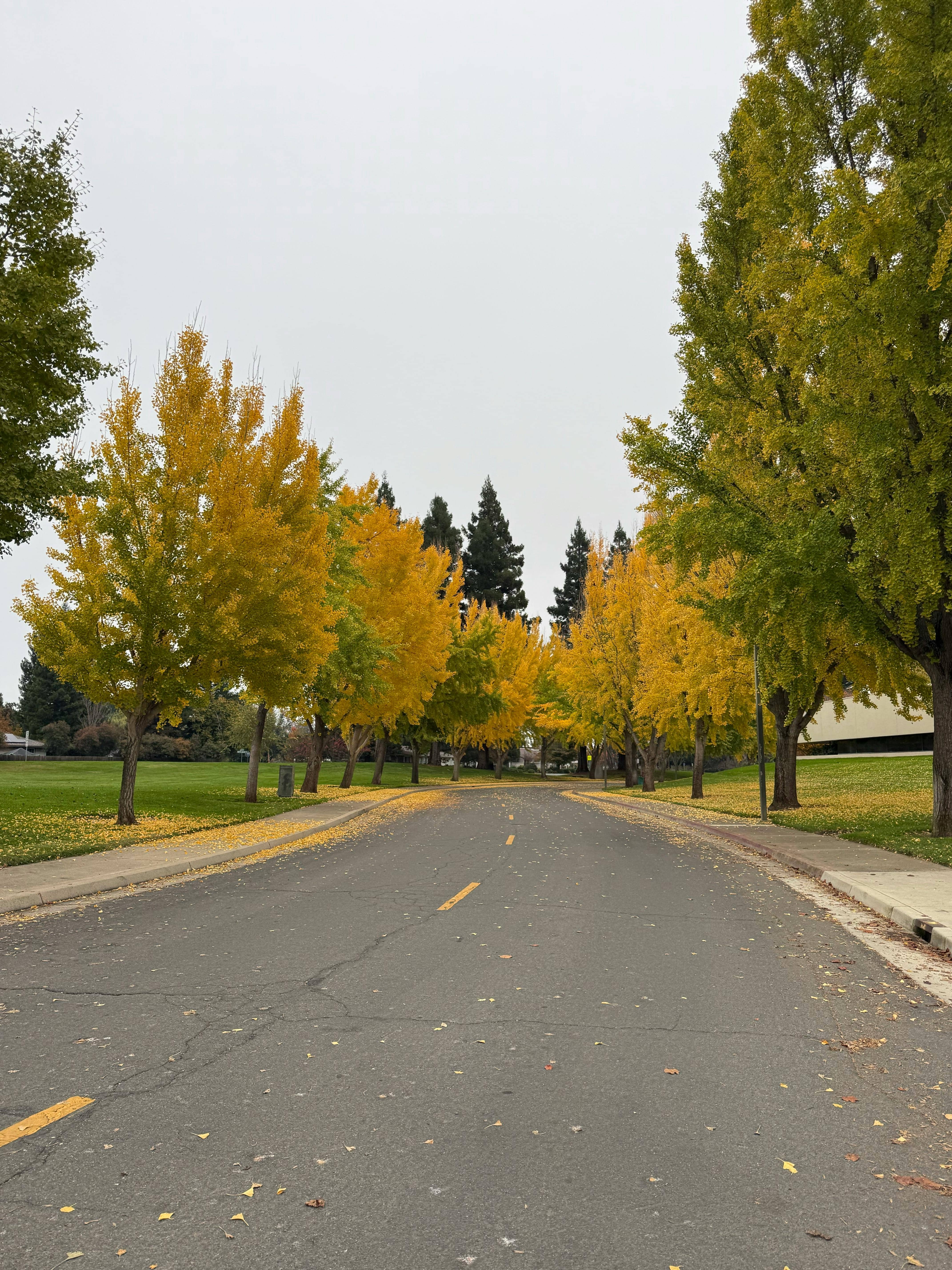 계절이 바뀔 때 집 안 환경이 달라지는 이유