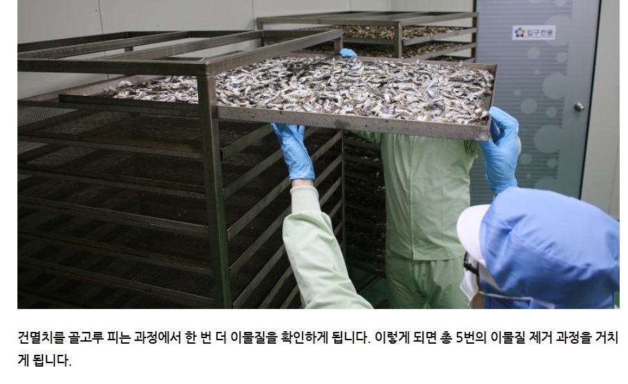 통영-볶음멸치