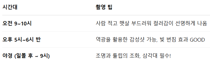 사진을 위한 황금 시간대 & 팁