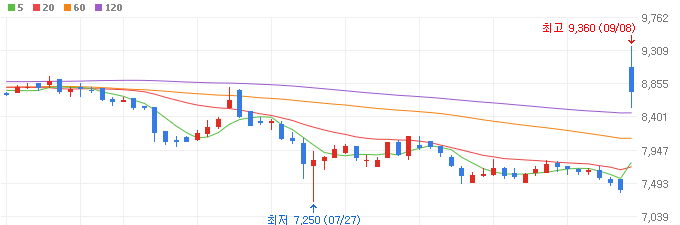 요소수 관련주 Top5 (대장주, 테마주)