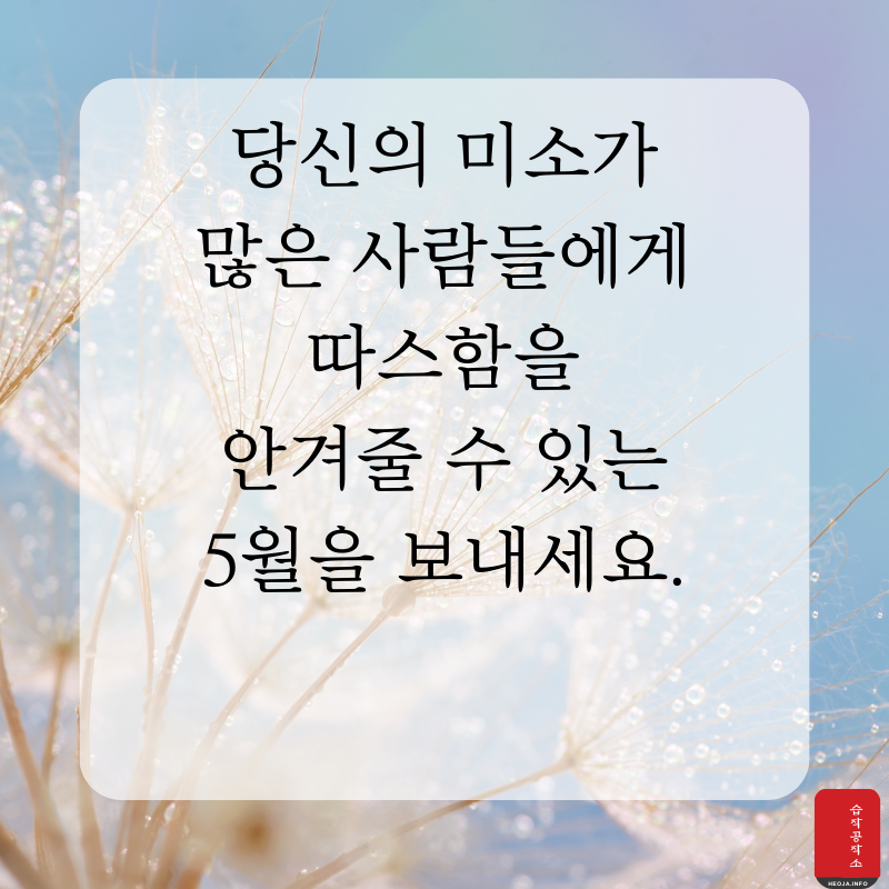2025년 5월 인사말 문구 이미지 모음집