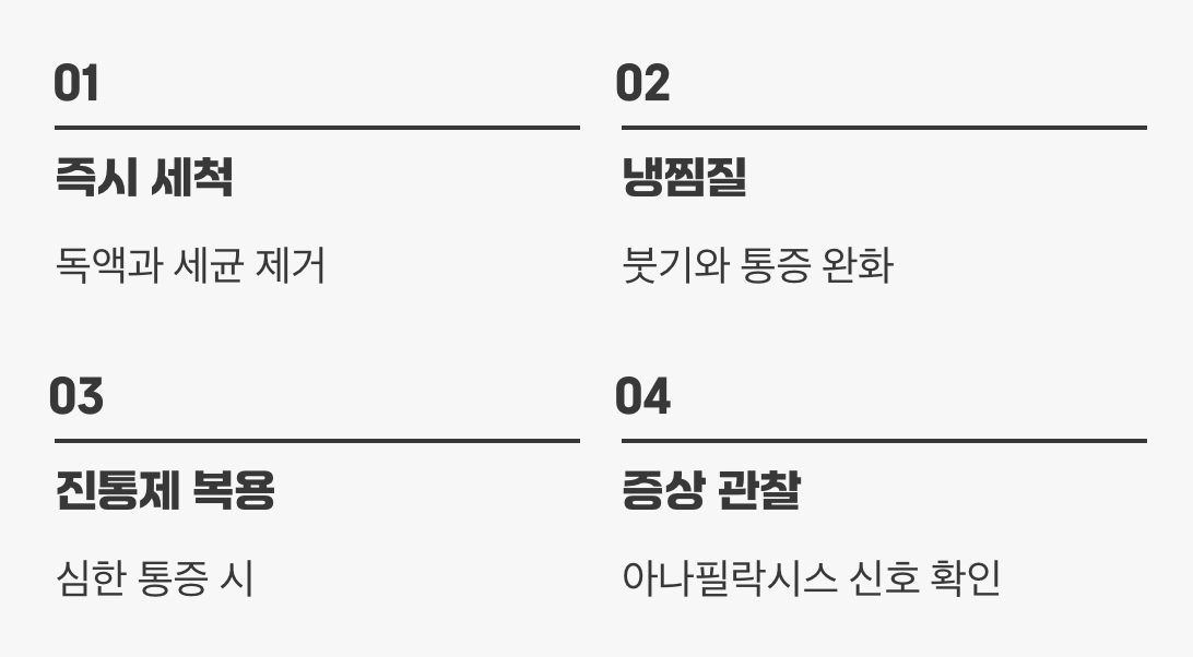 물렸을 때, 올바른 응급처치법