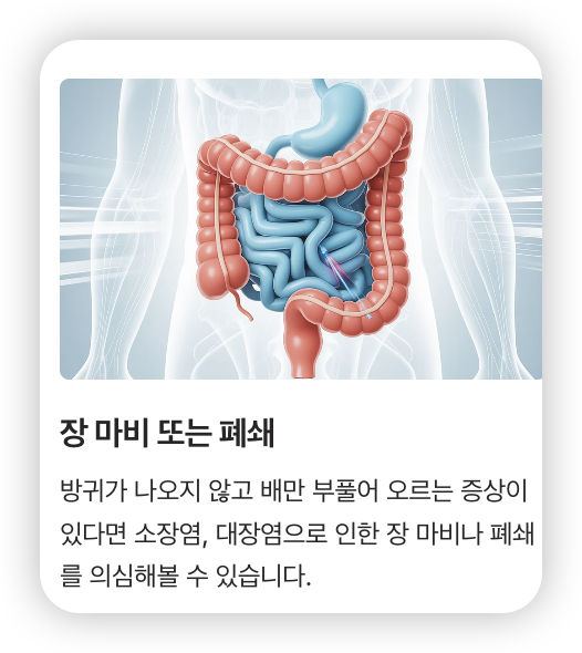 방귀가-자주-나오는-주요-원인-장-마비-사람-내장-모습