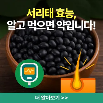 서리태 효능 콩물 만드는방법 수확시기 서리태콩 정보_7
