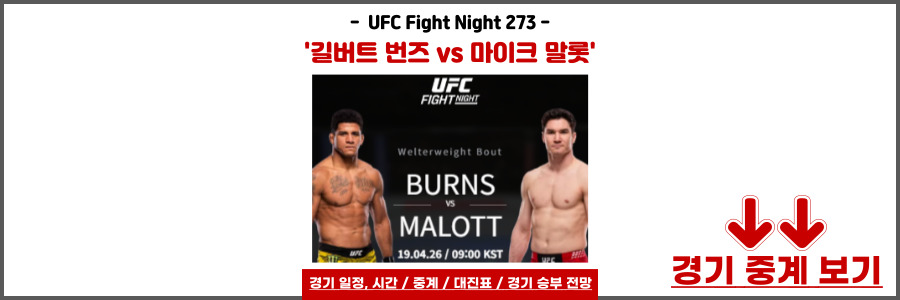 UFC경기일정