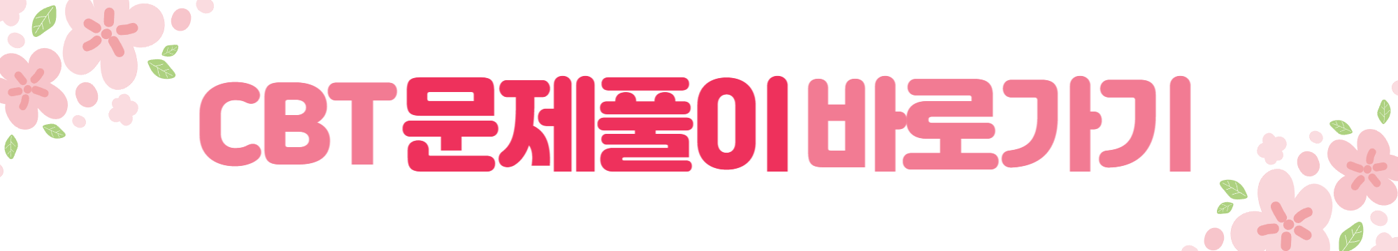 CBT를 이용한 문제풀이