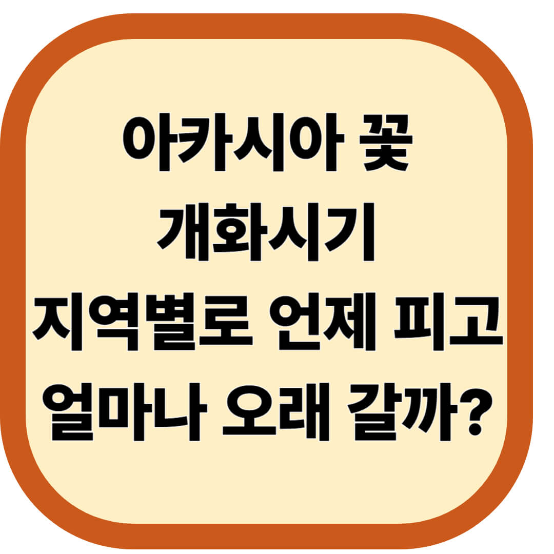 아카시아 꽃 개화시기