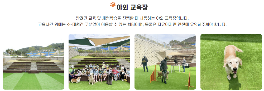 울산 애니언파크