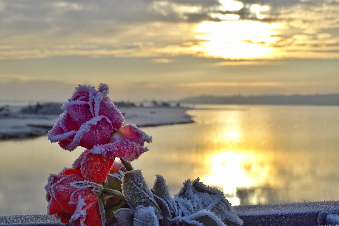 Remembrance