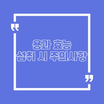 용과 다양한 효능과 섭취 주의사항