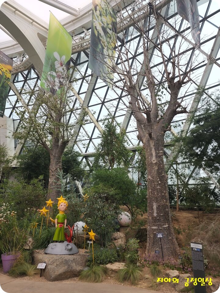 바오밥 나무와 어린 왕자 동상