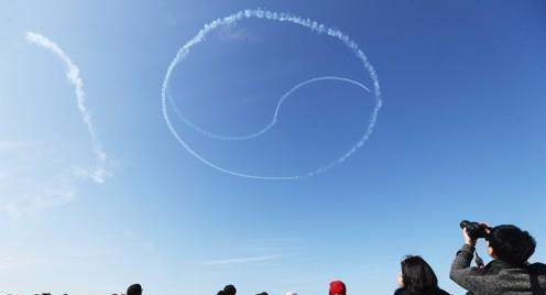 블랙이글스 태극