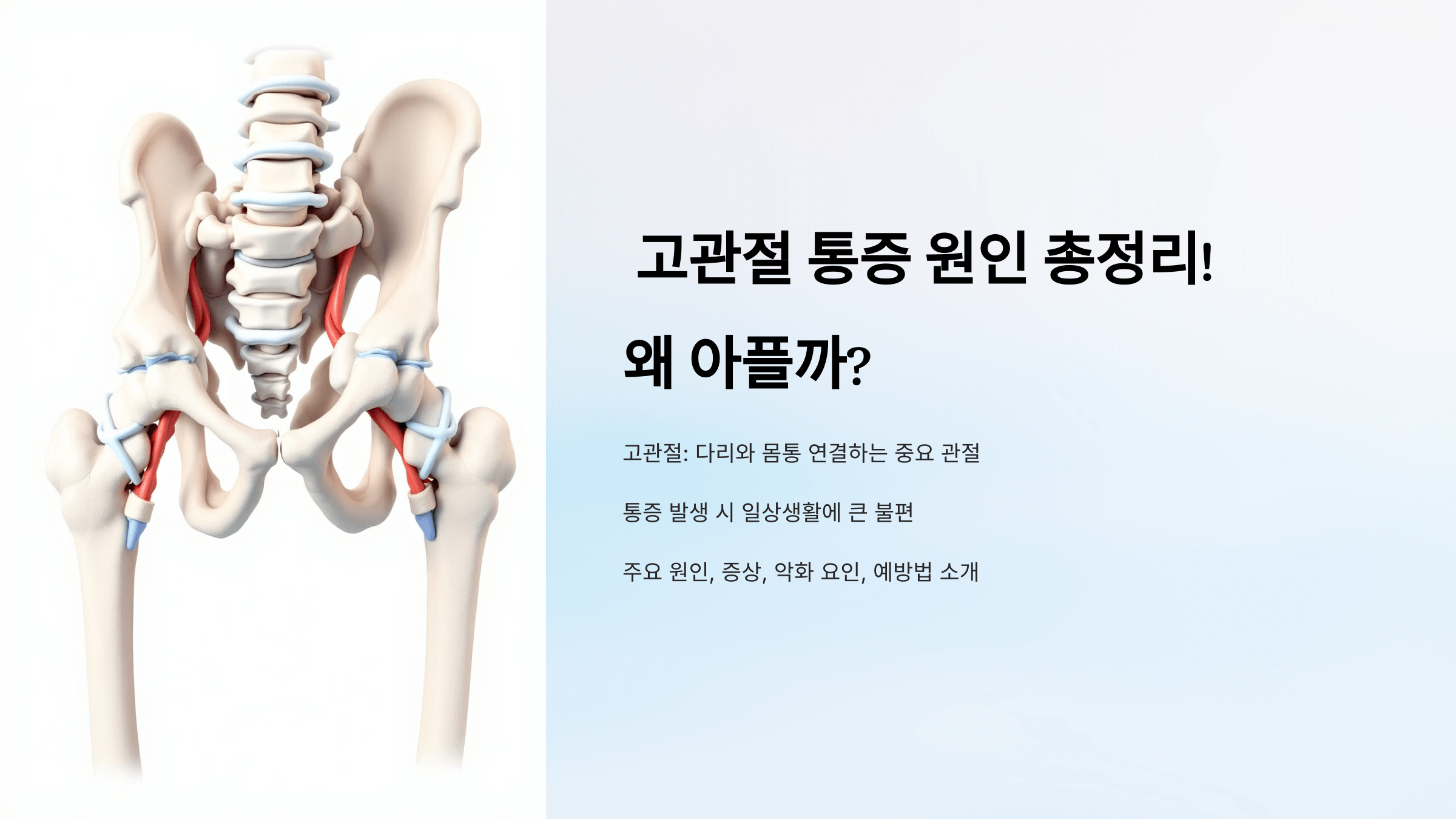 고관절 사진입니다.