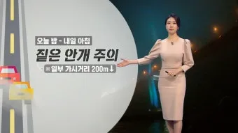 안개 주의 가시거리 운전 속도 헤드라이트 사용법_11