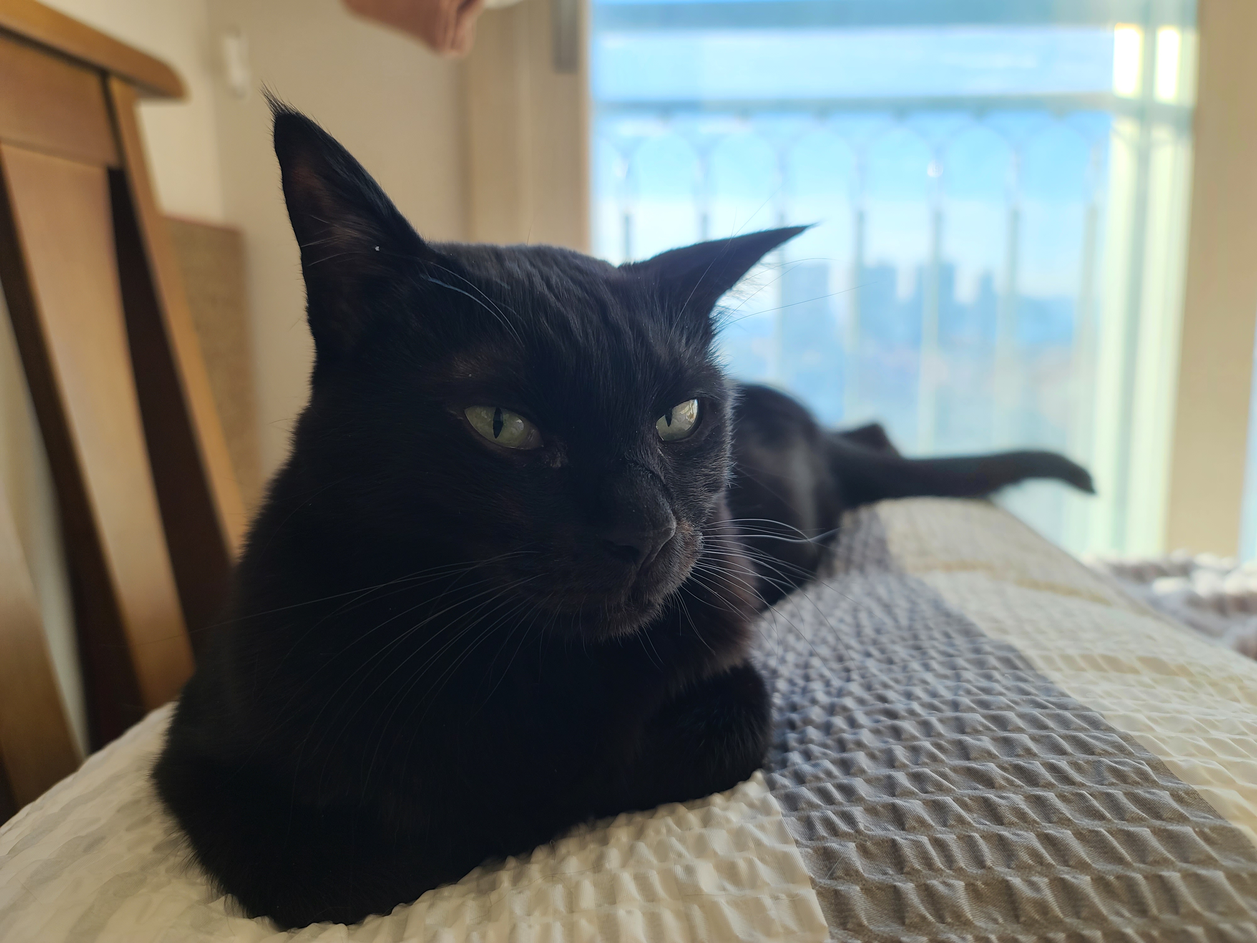 엄마랑 손잡고 잘래...?