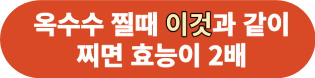 옥수수효능_옥수수음식궁합