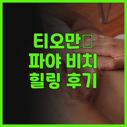 티오만 파야 비치 스파 & 다이브 리..