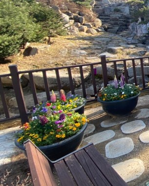 석모도 자연휴양림 숲나들e 국내 여행지 추천 관련 사진