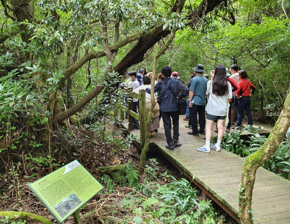 거문오름 일본군 갱도진지
