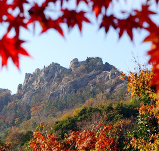 목포 유달산 개나리 축제 주차 맛집 꿀팁정리