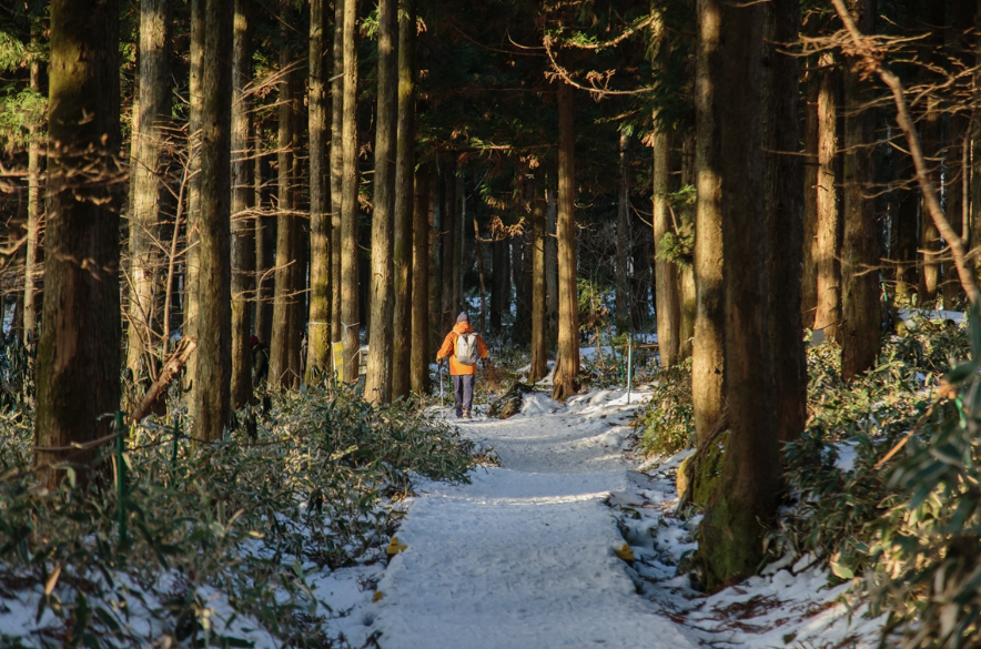 12월에 절대 놓쳐서는 안될 여행지