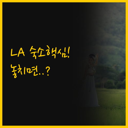 럭셔리와 실용성 LA 여행 성공은 숙..