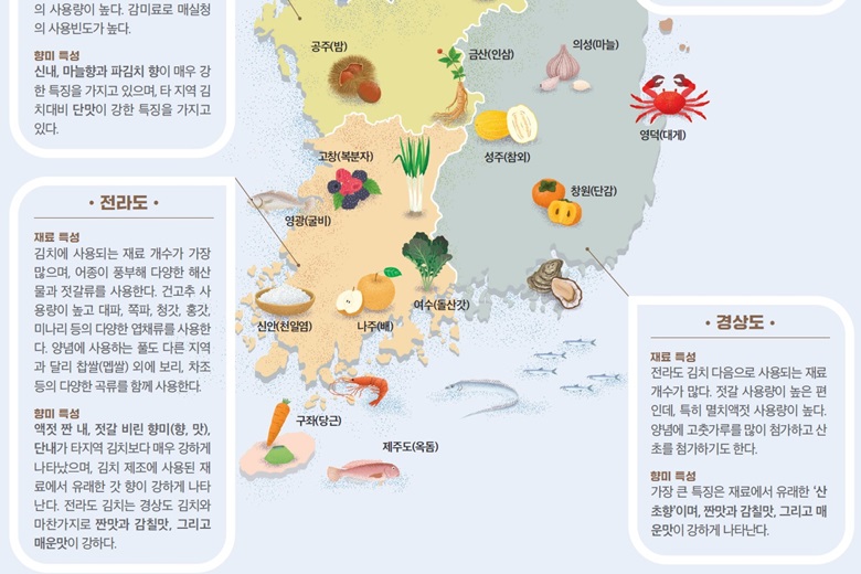 지역별 배추김치특색중 충청도, 전라도, 경상도의 김치재료를 그림(공주의 밤, 금산의 인삼, 의성의 마늘, 성주의 참외, 고창의 복분자, 영광의 굴비, 영덕의 대게, 창원의 단감, 신안의 천일염, 나주의 배, 여수의 돌산갓, 구좌의 당근, 제주도의 옥돔과 남해의 갈치, 굴등)으로 지도에 표시된 사진