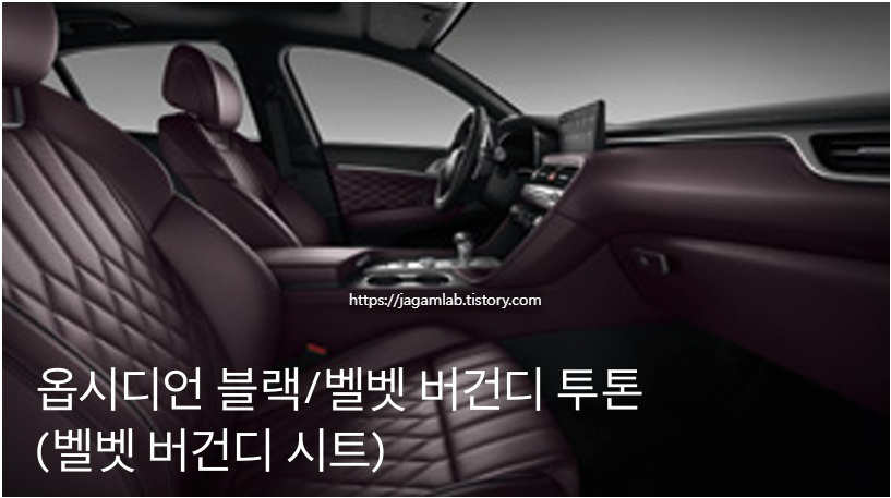 2026 G70 슈팅 브레이크 옵시디언 블랙/벨벳 버건디 투톤 내장 컬러 및 나파가죽 시트