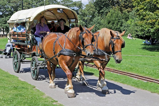 마차가 이동수단