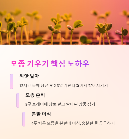 땅콩심는시기 파종 시기 심는 방법 모종 키우기 수확시기 재배