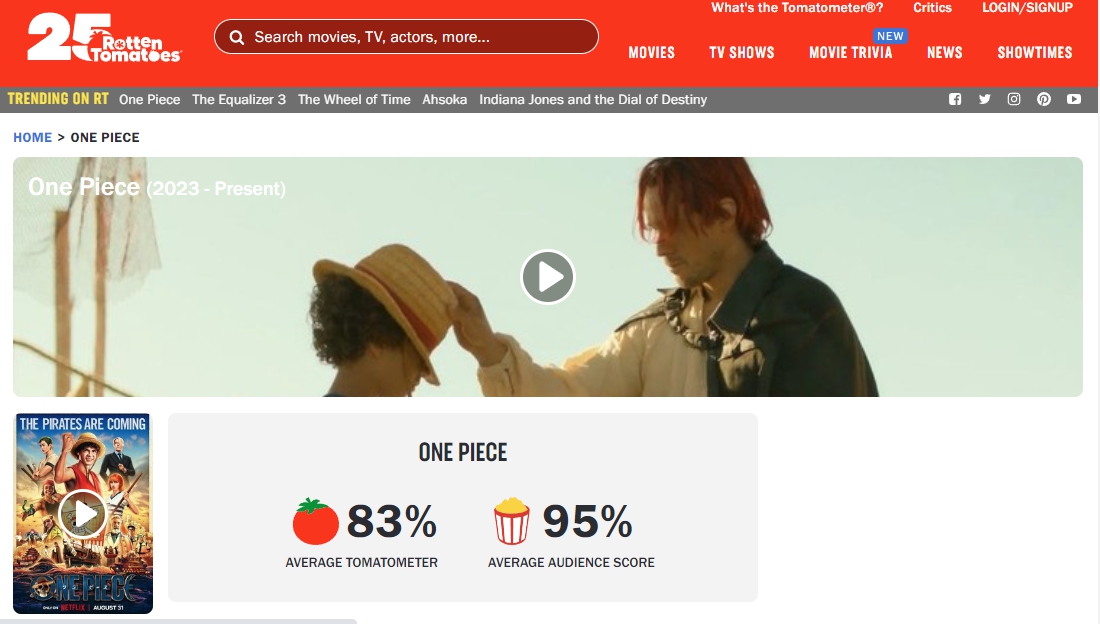 넷플릭스 원피스