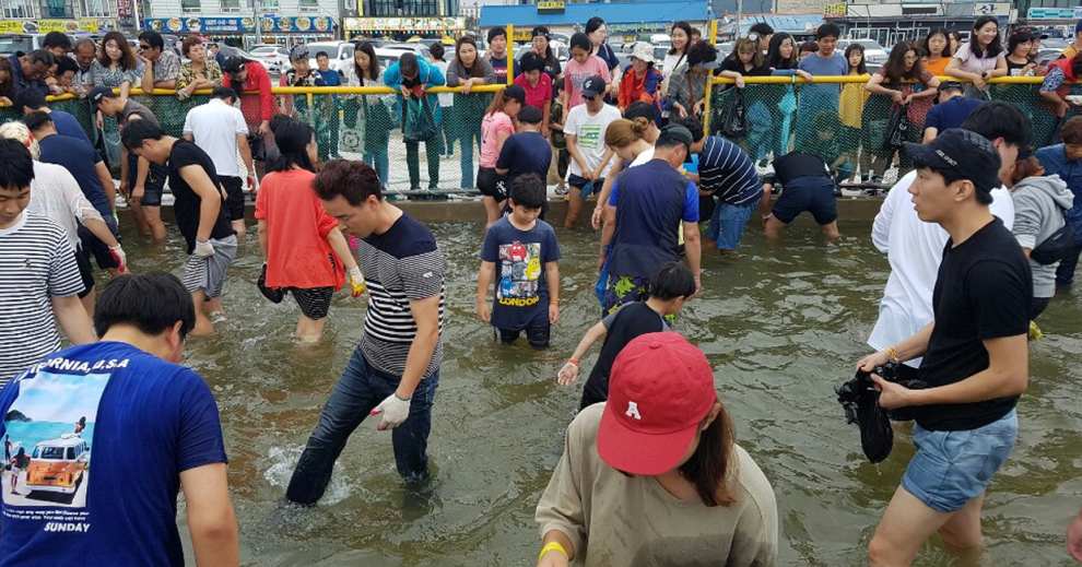 홍성남당항대하축제 기본정보