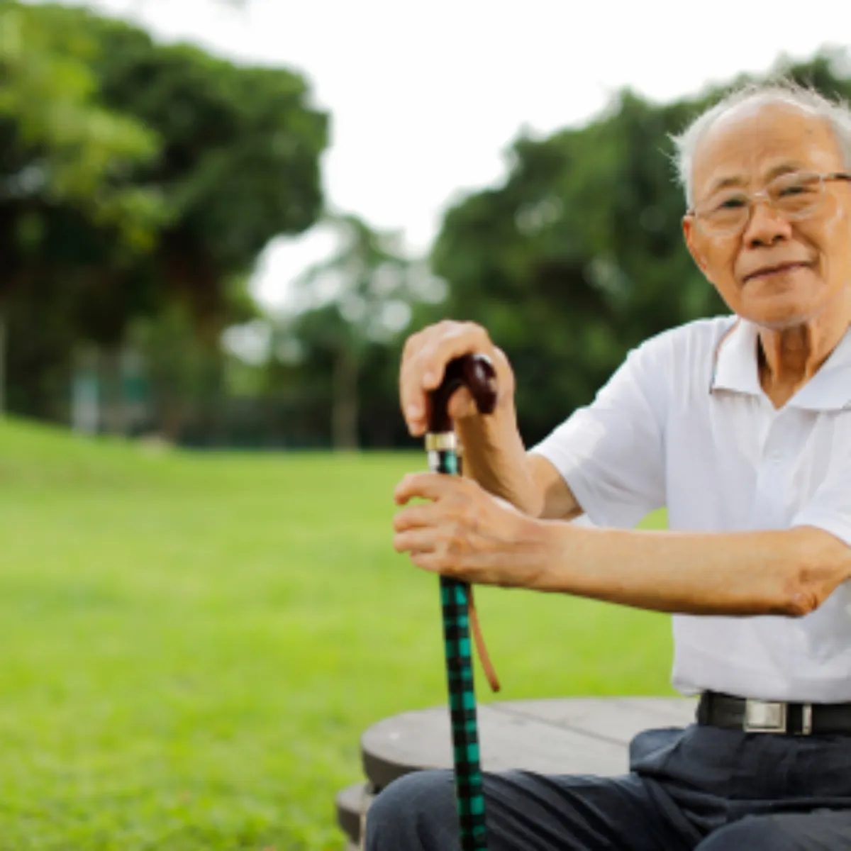 2025년 노인 일자리 모집