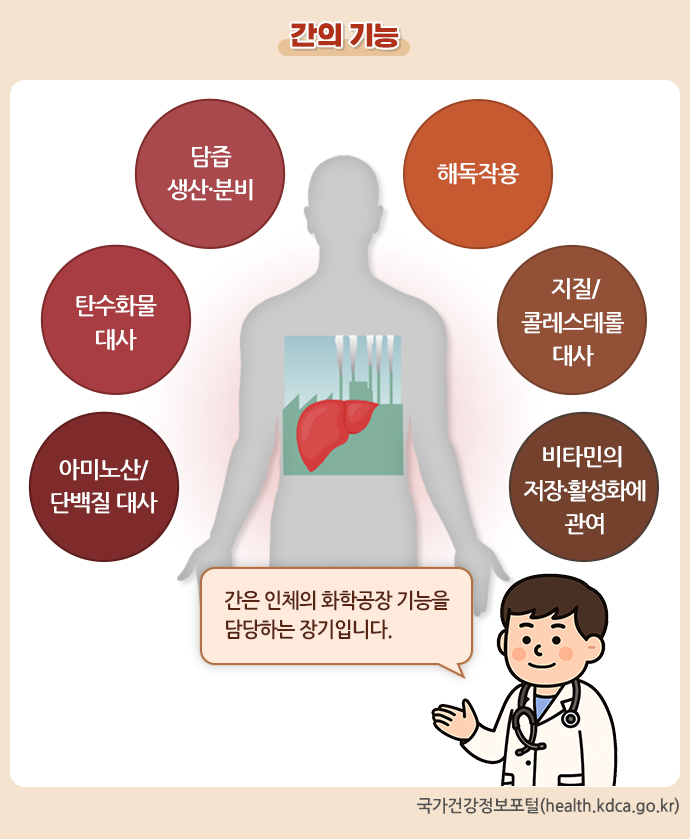 술과 간수치 상승 원인