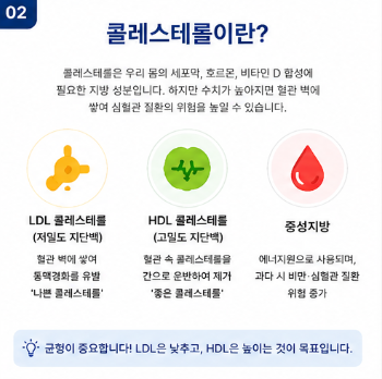 중성지방은 150mg/dL 미만을 유지하는 것이 좋습니다.