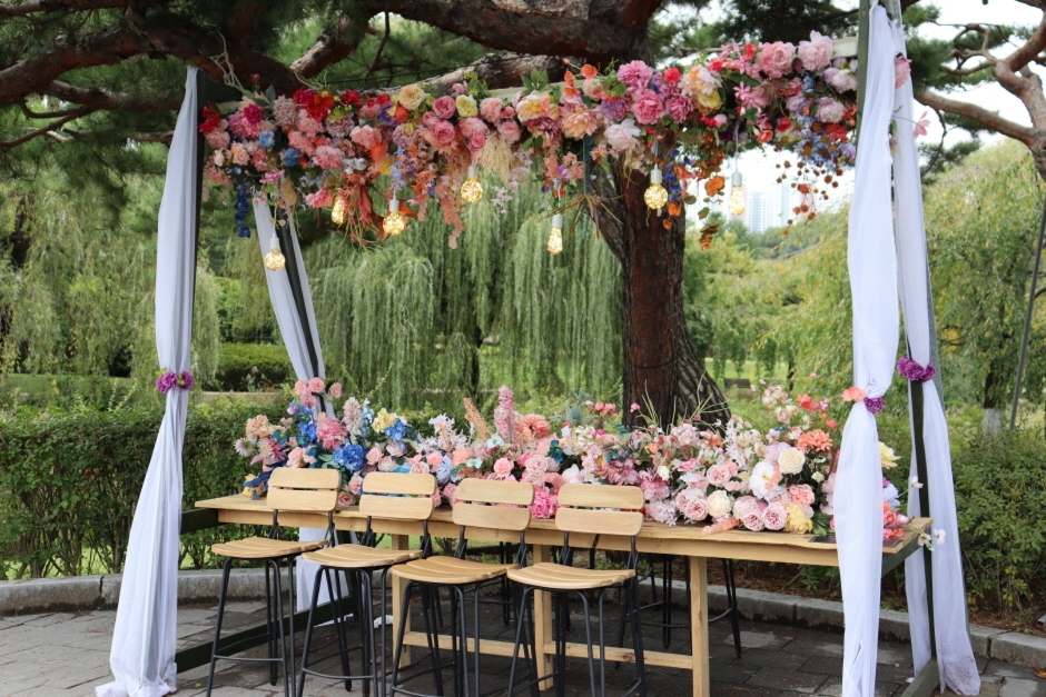 고양가을꽃축제