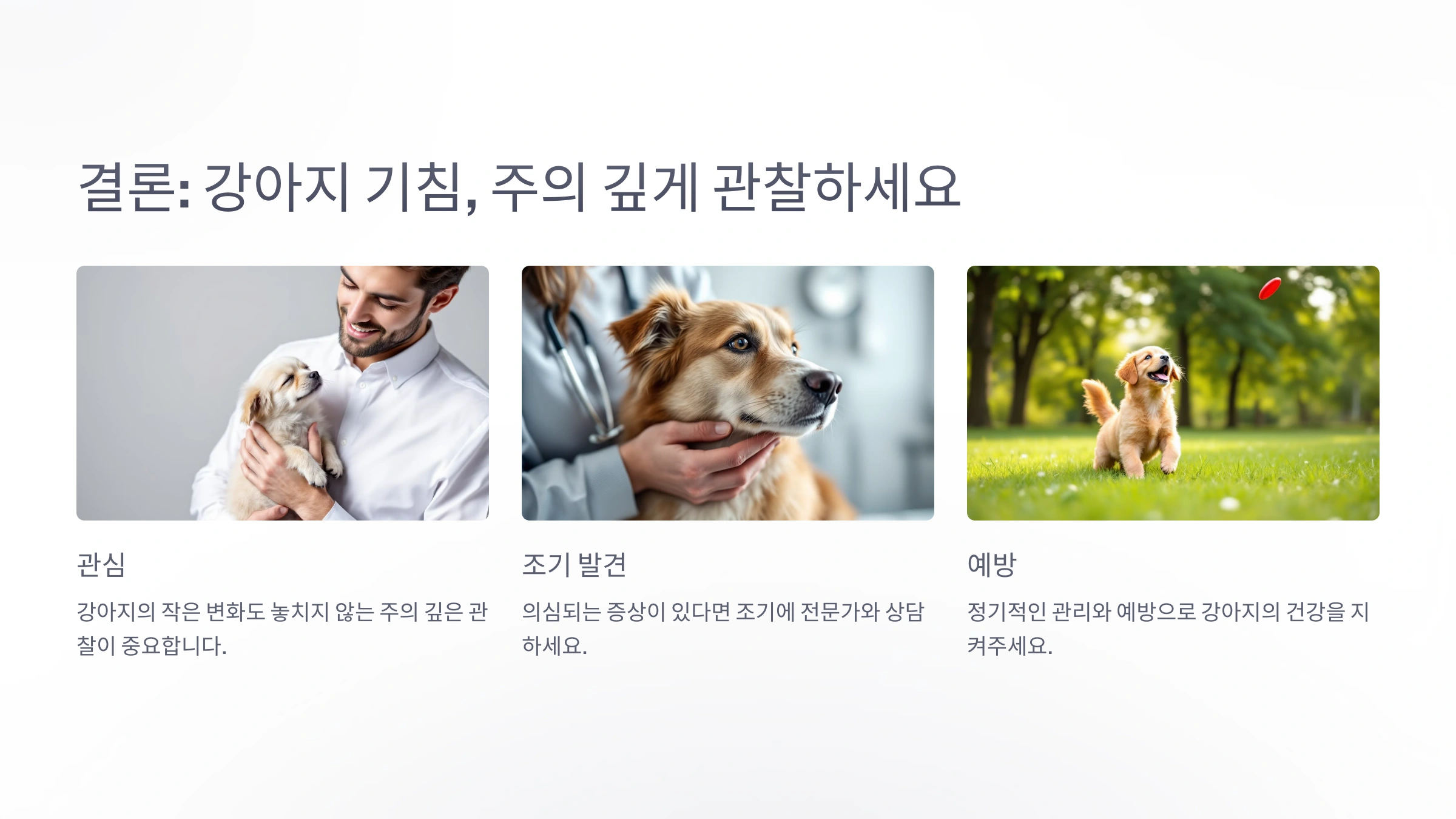 강아지가 기침을 자주 할 때 의심해야 할 질병