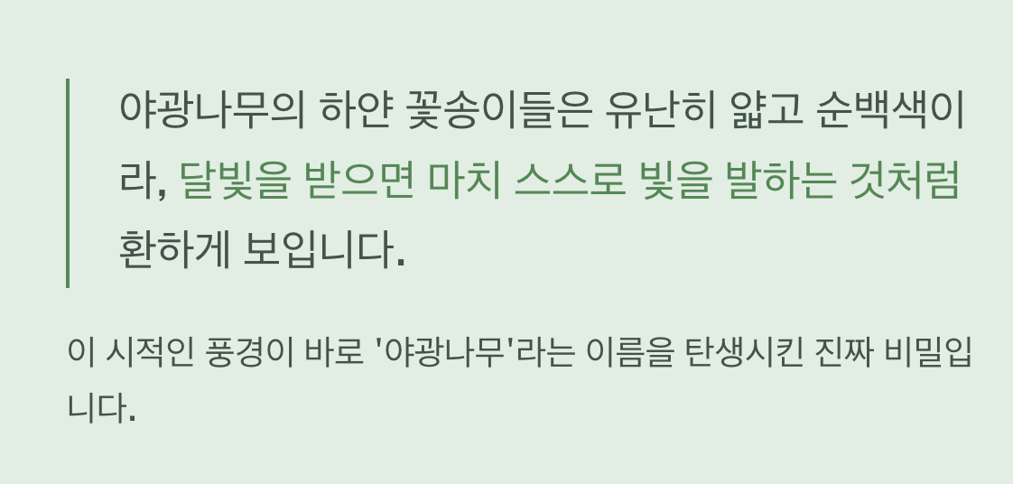 이름의 오해, 밤에 빛나지 않아요