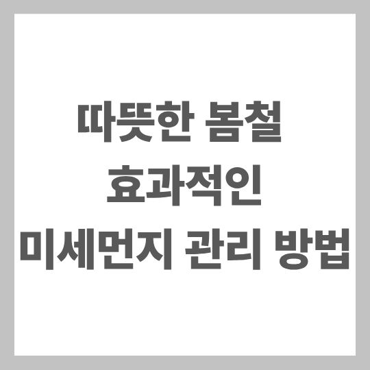 미세먼지 관리 요령