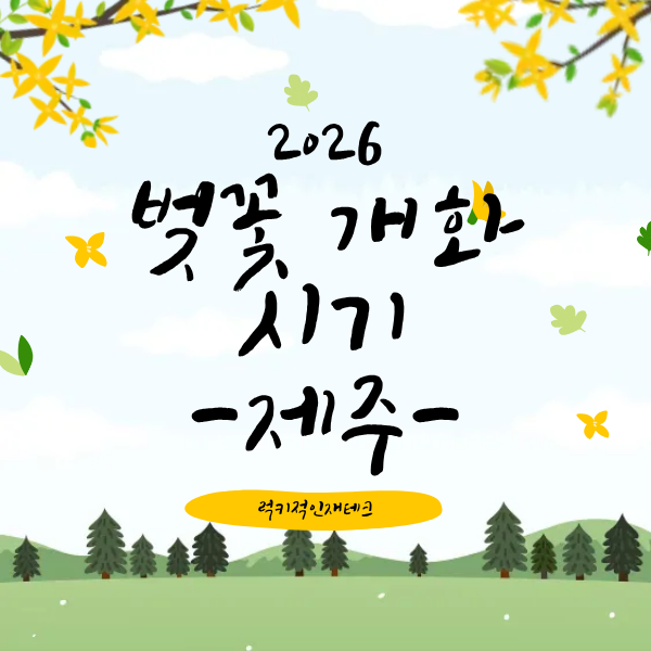 제주 벚꽃 개화시기