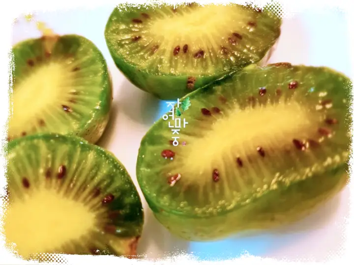 생방송오늘저녁 [유기농 토종다래, 토종다래 쨈, 토종다래 비누, 인터넷 전화 택배 주문 및 강원도 횡성 농장 체험]