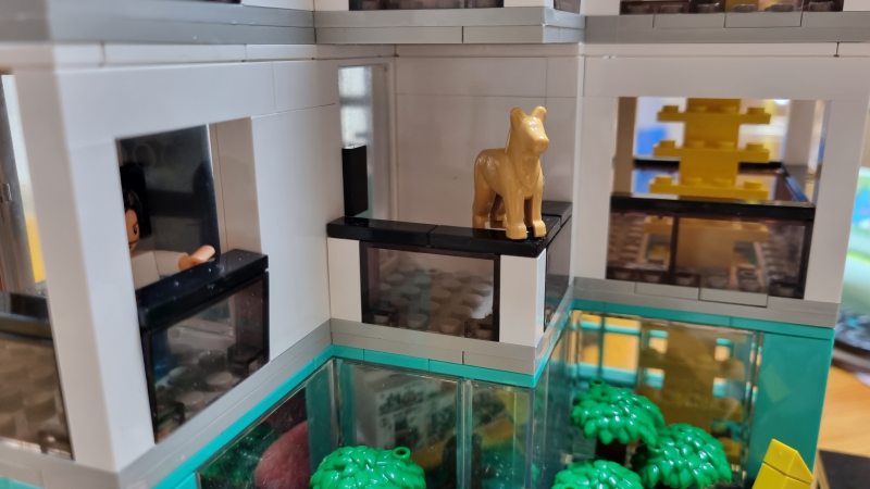 발코니에서 위엄을 뽐내는 강아지