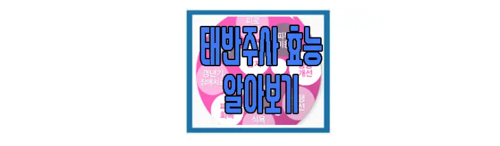 태반주사에 관한 글 보러 가기 링크 사진