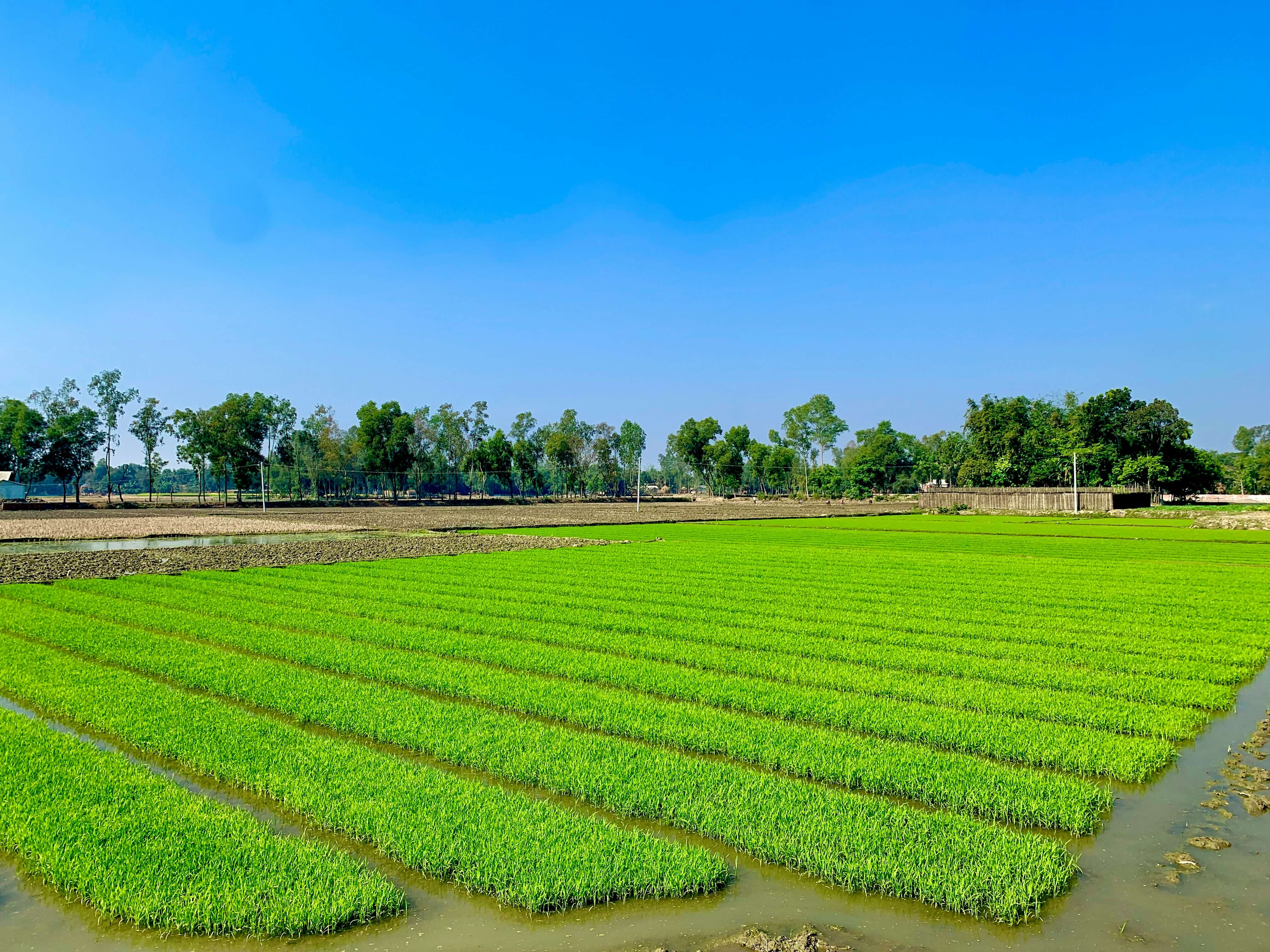 2024년 농지이양 은퇴 직불사업 지원 대상 내용 신청방법