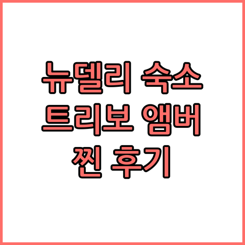 트리보 앰버, 뉴델리 숙소! 찐 후기