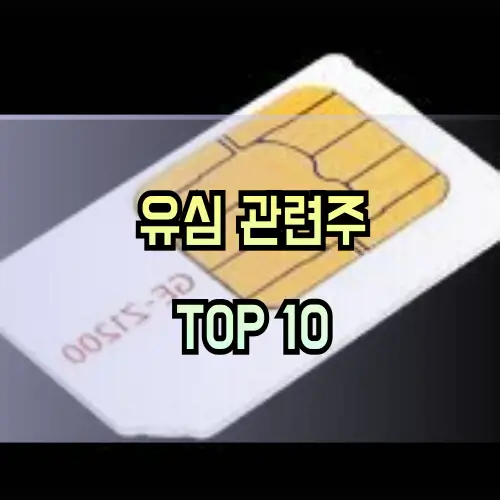 유심-관련주