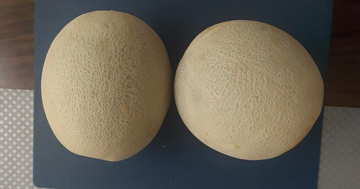 머스크 메론 효능 칼로리