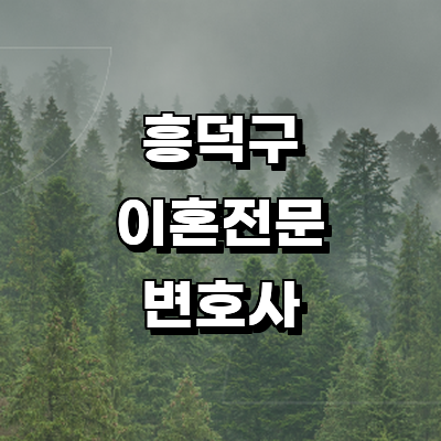 청주 흥덕구 이혼 변호사