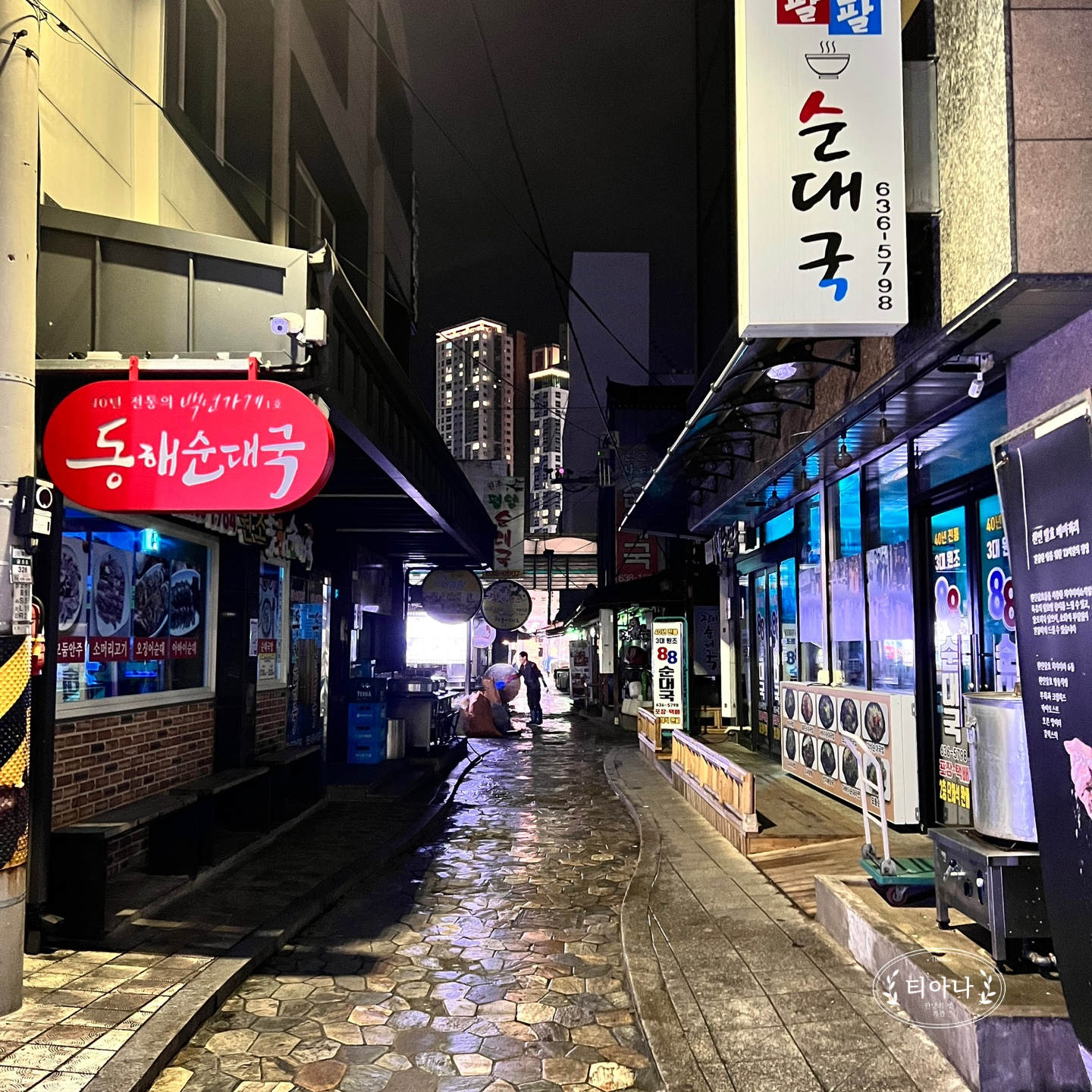 속초 여행 중에 찾았던 &amp;#39;속초관광수산시장 (속초중앙시장)&amp;#39;